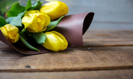 a beautiful yellow tulips on a wooden backgroundの写真素材