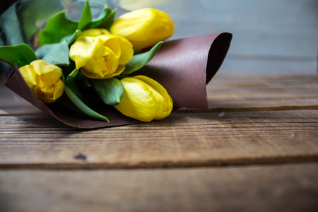 a beautiful yellow tulips on a grey wooden backgroundの写真素材