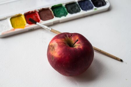 a red apple and watercolor paint and brush on white backgroundの写真素材