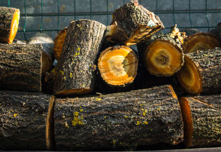 a stack of logs in the backyardの写真素材