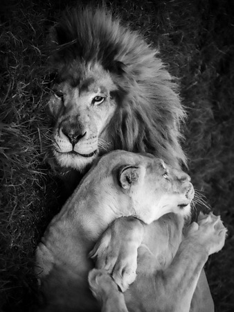 ...And then suddenly he pulls her to him and hugs her. And I was there at 2mt from them and I was a little ashamed to steal this moment of intimacy...の写真素材