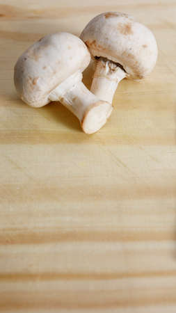 A White mushrooms on wooden board. Copy space for text. Backgrounds.の写真素材