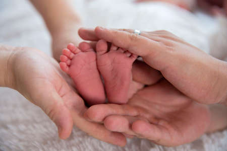 the baby's small legs are gently held in the parent's handsの写真素材