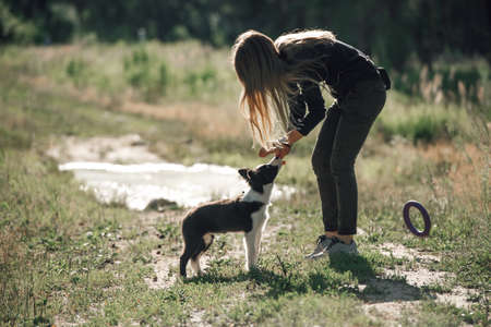Girl playing with black and white border collie dog puppy on the forest pathの写真素材