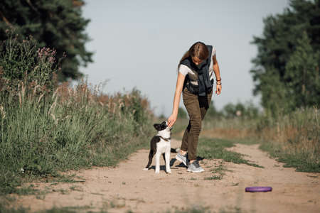 Girl playing with black and white border collie dog puppy on the forest pathの写真素材