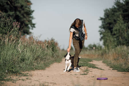 Girl playing with black and white border collie dog puppy on the forest pathの写真素材