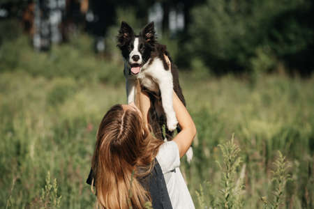 Girl holding on her hands black and white border collie dog puppy in the forestの写真素材