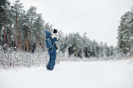 girl with black and white border collie dog in snowy winter forestの写真素材