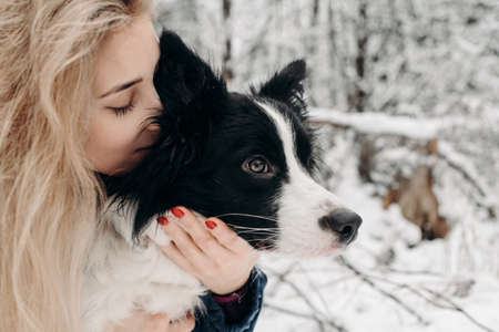 girl with black and white border collie dog in snowy winter forestの写真素材