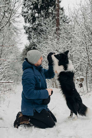 Man with black and white border collie dog in snowy winter forestの写真素材