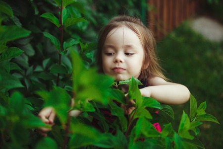 little girl studying nature. education of interest life in children.の写真素材
