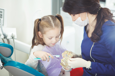 Child at dentist office brushes artificial human jawの写真素材