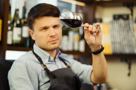 Male sommelier tasting red wine and making notes. Profession in winemaking.の写真素材