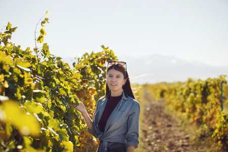 Woman Checking Ripeness of Grapes in Vineyardの写真素材