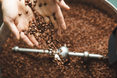 Hands Pouring Roasted Coffee Beans To Cooling Tray Bin