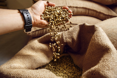 Close-up of Quality Control of Green Coffee Beans in Processing Facility Through Pouring itの写真素材