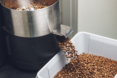 Freshly Roasted Coffee Beans Pouring From Cooling Hopper Into Container