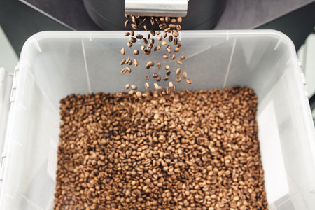 Freshly Roasted Coffee Beans Falling Into Large Container at Roasting Facility During Daytime...