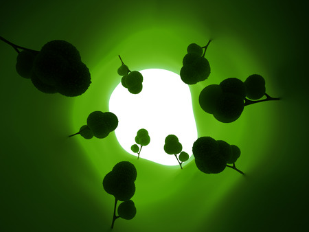 Surreal tunnel of trees. Green tunnel, 3D imageの写真素材