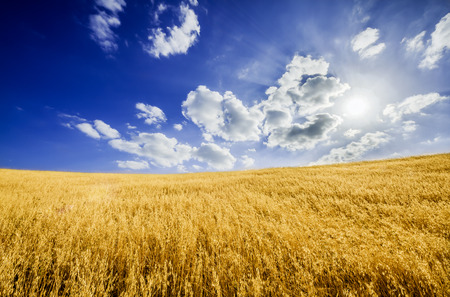 Windows Desktop Styleの写真素材