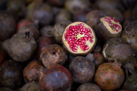Pomegranateの写真素材