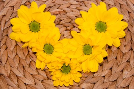 chrysanthemum lying on the brown decorative tableの写真素材