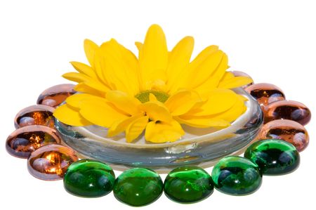 flower isolated  on a white background with glass stonesの写真素材