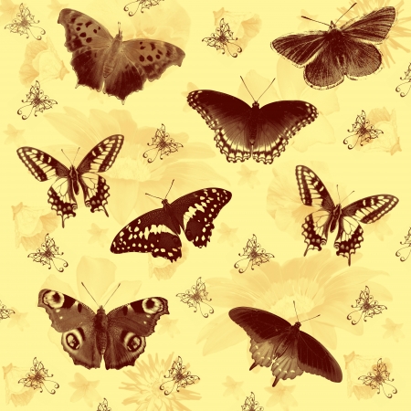 abstract background with flowers and butterfly , ornamentの写真素材