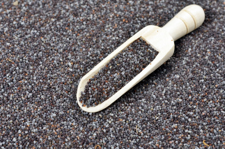wooden scoop with poppy seeds backgroundの写真素材