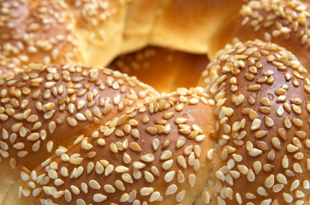 Sesame bagels on a white backgroundの写真素材