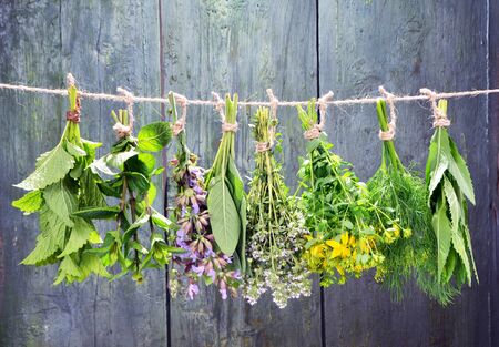 Set of fresh herbs hanging  over wooden vintage background