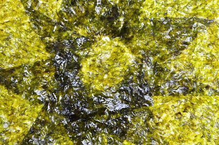 Crispy chips of nori as background .の写真素材