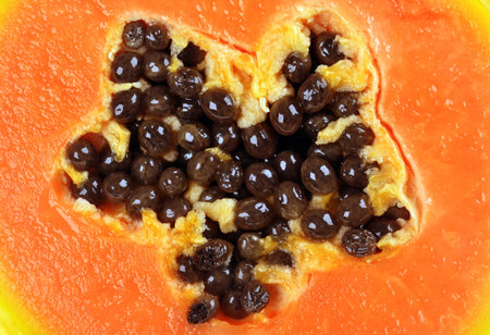 Half cut of ripe papaya with seeds ,backgroundの写真素材