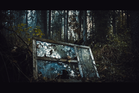 broken window in a dark forestの写真素材