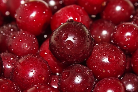 Juicy cherry in waterの写真素材