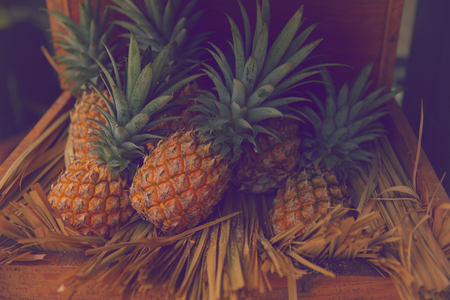 Pineapple background Pineapple in wood box Pineapple Thaiの写真素材