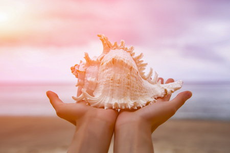 Seashell in hand on a background of sea beach. Toned