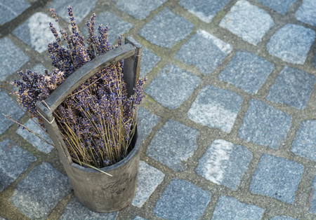 Lavender on the floorの写真素材