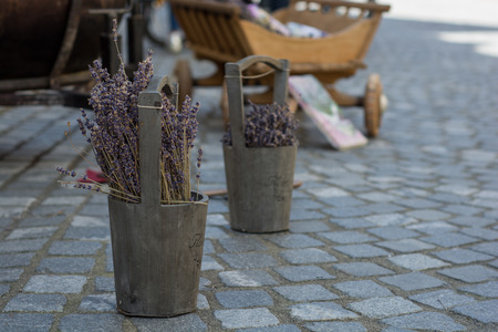 Lavender on the floorの写真素材