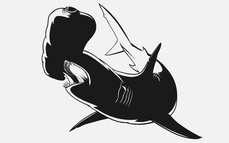 black-and-white shark hammerheadのイラスト素材