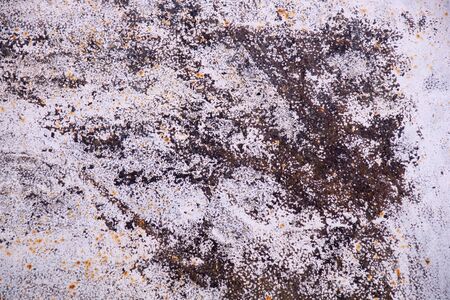 texture of old rusty metal painted
