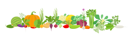 Vegetables harvest banner collage. Popular agricultural plant set. Vector farm plants bunch healthy food on white background. Flat stock clipart for web site header horizontal banner.のイラスト素材