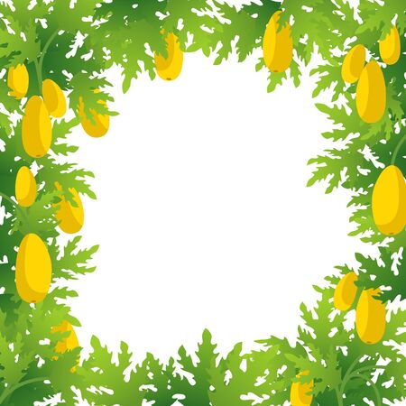 Papaya tree background frame. Papaw plant harvest. Large yellow papaya fruits on a tree. Place for text. Copy space. Flat vector illustration.のイラスト素材