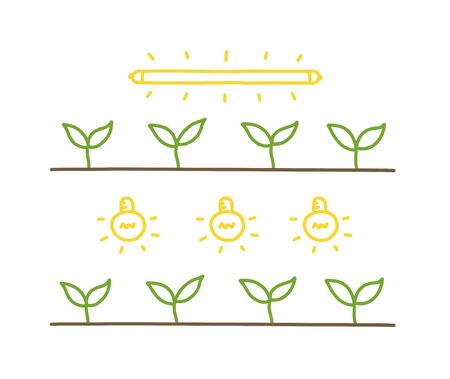 Light growth seedling. Growing seedlings. Plant shoots. Vector hand-drawn illustration.のイラスト素材
