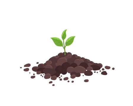 Sprout seedling shoot germination in the pile dirt soil. Young plant. Growing in the ground. Agricultural spring. Vector.のイラスト素材