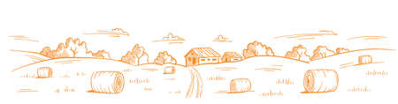 Mown straw grass. Rural landscape. Village field road. Hand drawn sketch. Countryside. Contour vector line. Horizontal banner background.のイラスト素材