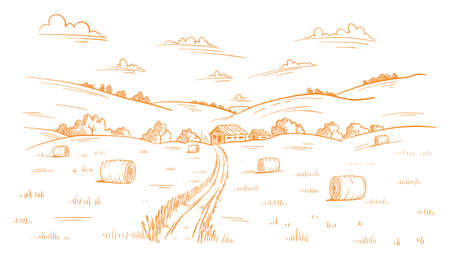 Field road. Rural landscape. Mown straw grass. Hand drawn sketch. Countryside track. Contour vector line. Autumn panorama.のイラスト素材