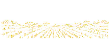 Dry grass meadow. Agriculture field. Hand drawn sketch. Rural landscape panorama. Horizontal banner. Copy space.のイラスト素材