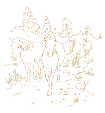 Horses are walking the trail. Hand drawn sketch. One after another. Rural landscape road. Herd of horses in the forest. Vector illustration.のイラスト素材