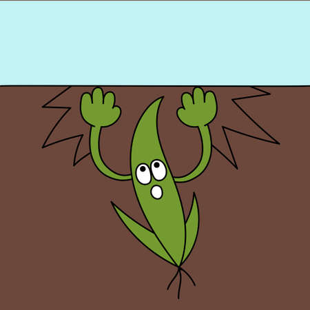 Healthy sprout is born growing. Green yeedling grows through the soil ground. Plant mascot character. Agricultural. Vector flat.のイラスト素材